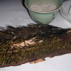 DSCN1183 DSCN1183