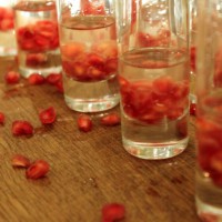 Granatæble-shots - just to get the party started