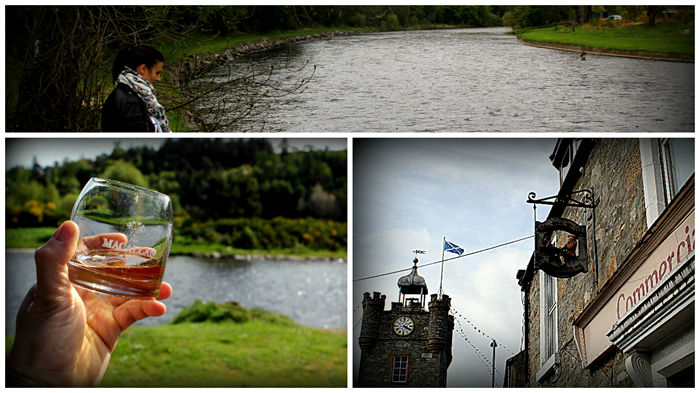 Macallan (10)