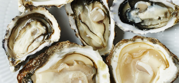 GUIDE: 5 lækre østers du skal kende